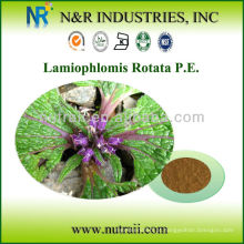 Natural Lamiophlomis Rotata PE Pó 30% Flavonas